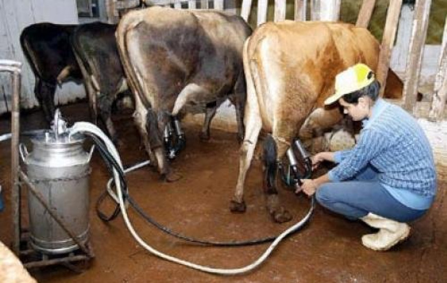 Produtores de leite são capacitados