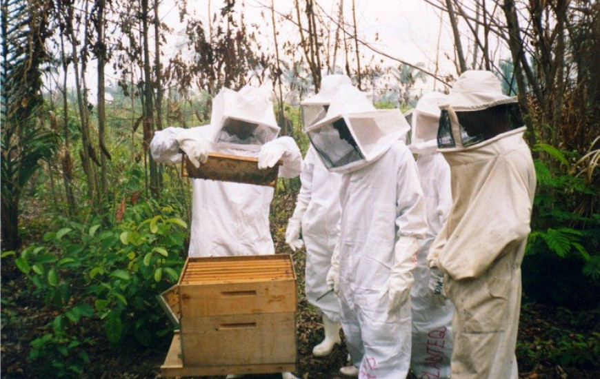 Evento de apicultura acontece em Marianópolis