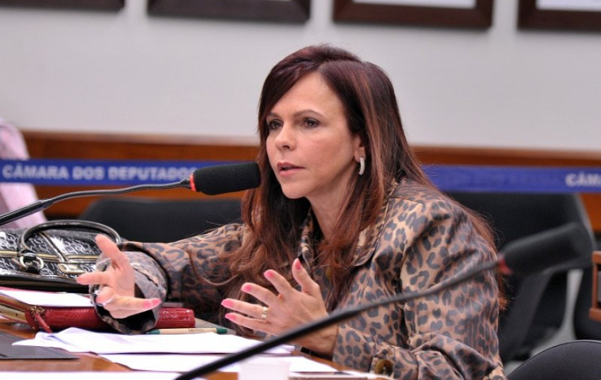 Deputada federal Professora Dorinha
