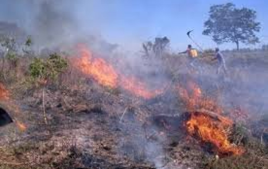 Tocantins ocupa segundo lugar em focos de calor