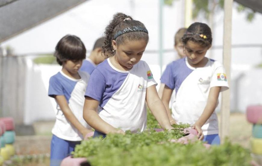 Escolas de Araguaína possuem hortas orgânicas