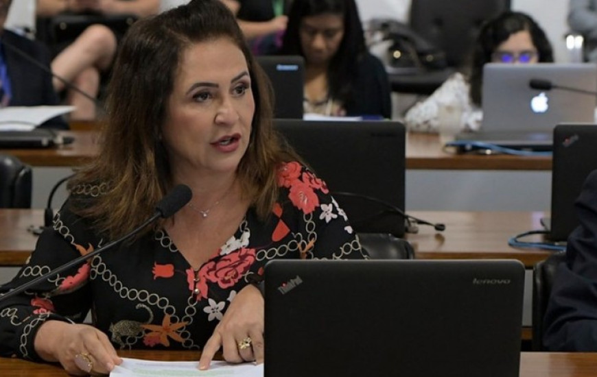 Senadora Kátia Abreu 