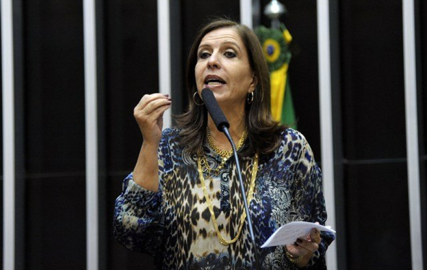 Deputada federal Nilmar Ruiz