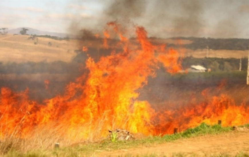 Homens da Brigada de Miracema combatem incêndio 