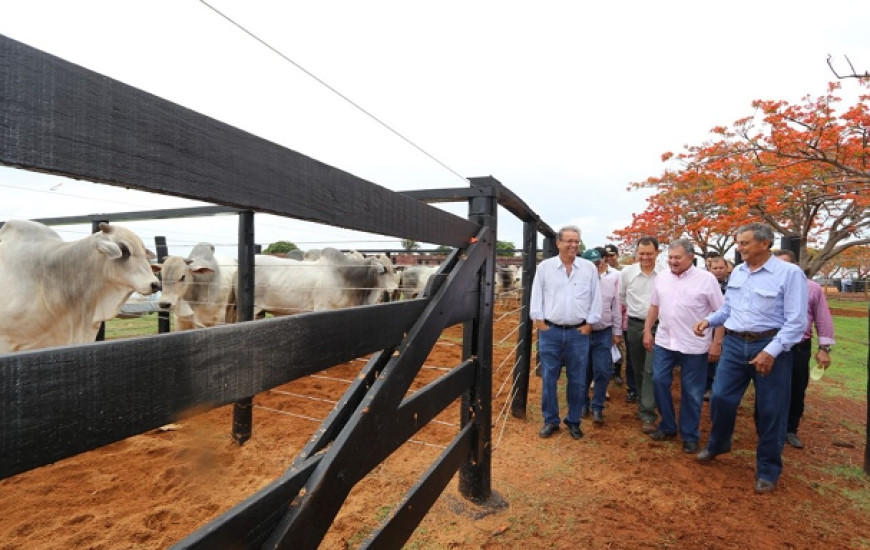 Governador fala sobre importância da vacinação para economia do Estado