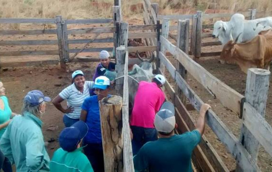 As aulas práticas foram realizadas na Fazenda Barão de Lucena