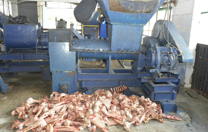 Fiscais encontraram fabricação de farinha de carne e osso