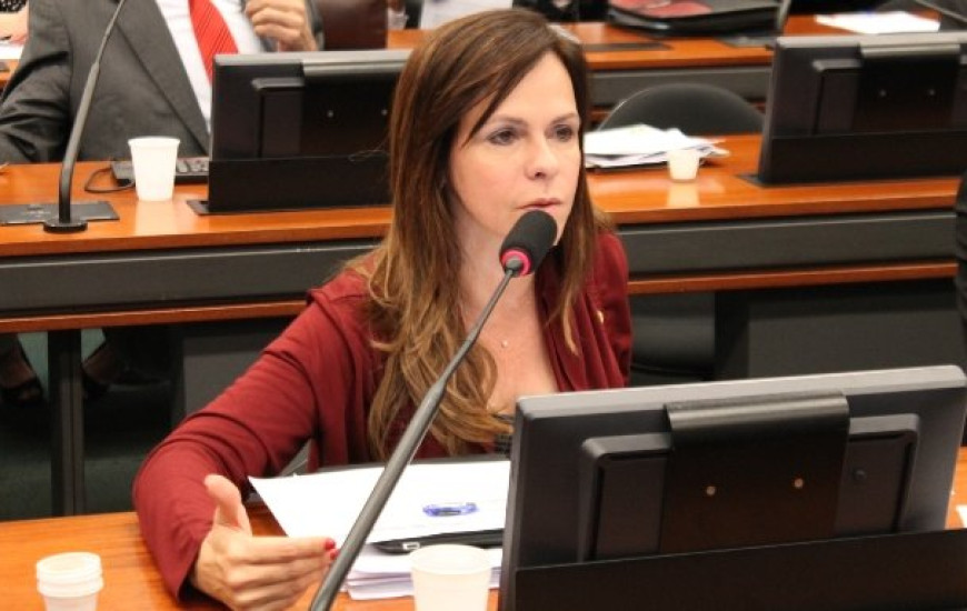 Deputado Dorinha Seabra (DEM)