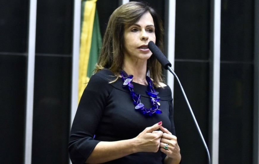 Deputada federal Professora Dorinha Seabra (DEM-TO).