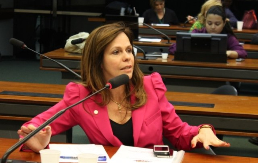 Deputada Professora Dorinha defende a educação