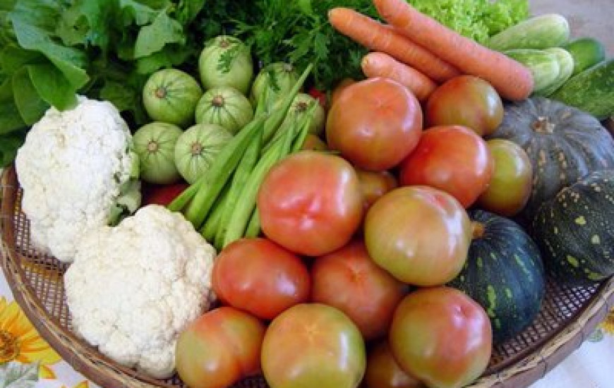 Cinco municípios do Estado produzem as hortaliças