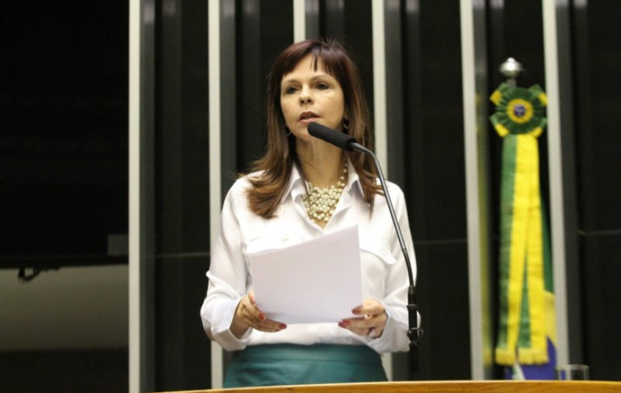 Deputada federal Professora Dorinha