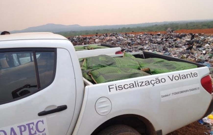 Sementes foram destruídas no aterro de Palmas