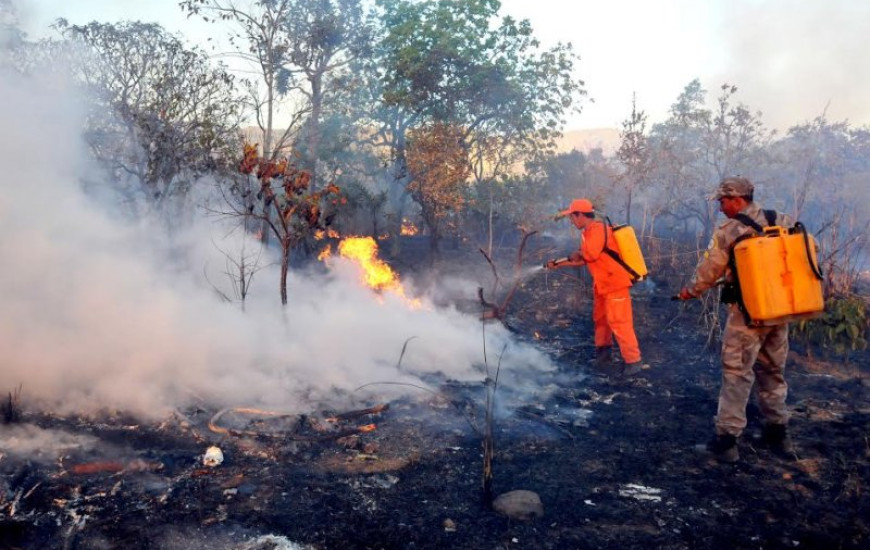 Tocantins é alvo de queimadas todos os anos