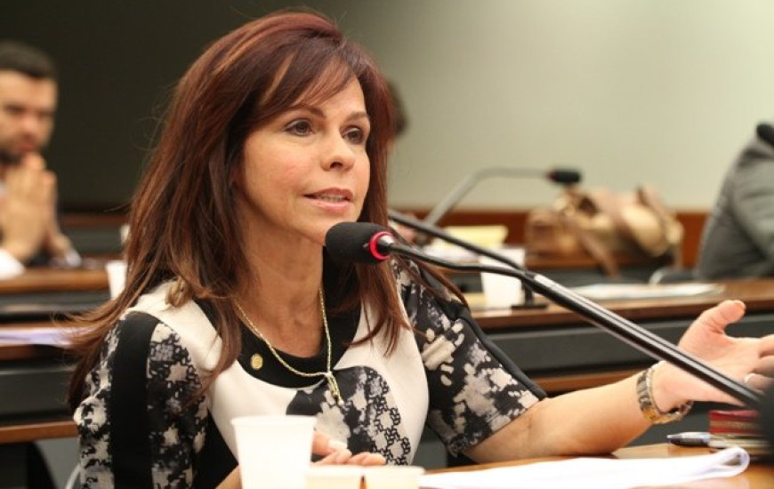 Deputada Professora Dorinha