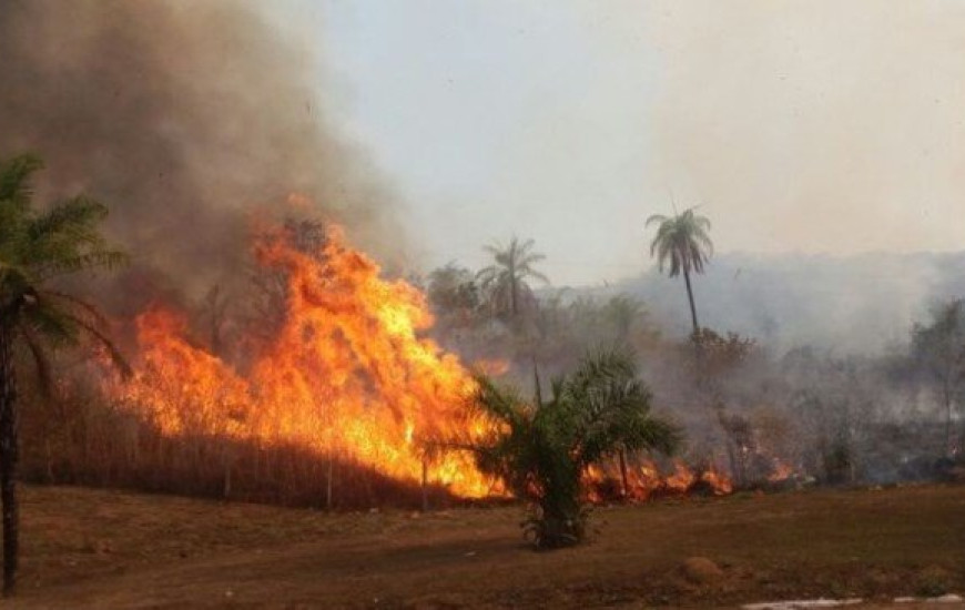 Fogo atinge área próxima ao Parque Cesamar