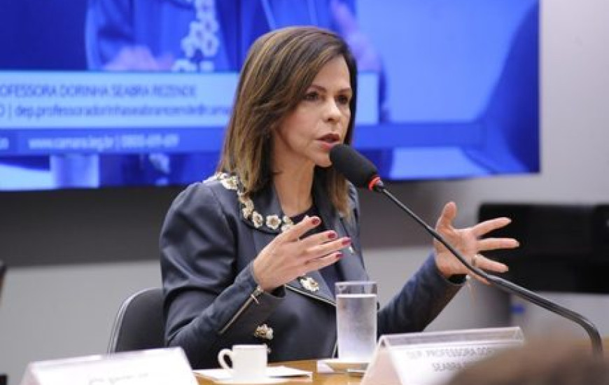 Deputada Federal Professora Dorinha Seabra (DEM-TO)