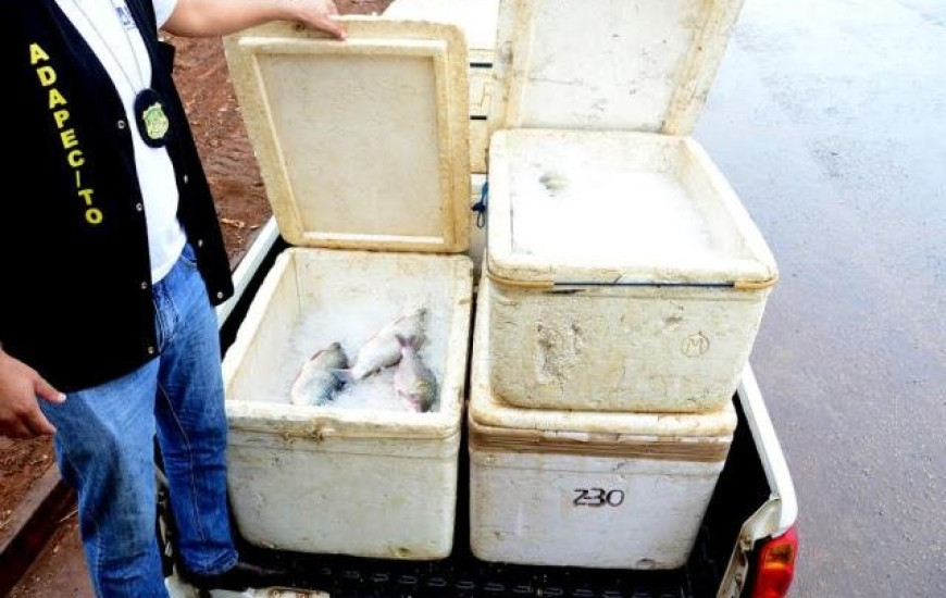 200 Kg de pescado é apreendido no lago de Palmas