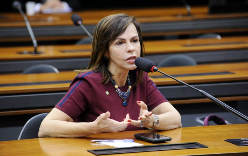 Deputada federal Professora Dorinha (DEM/TO)
