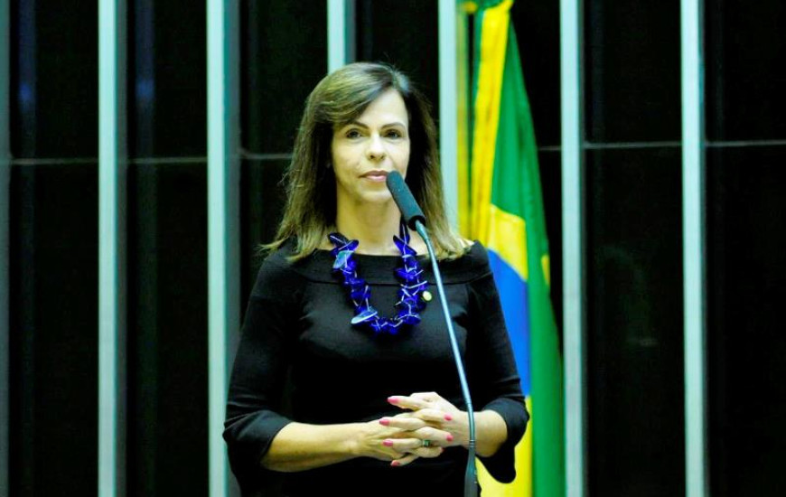 Professora Dorinha solicita implantação de campi do IFTO em Miranorte