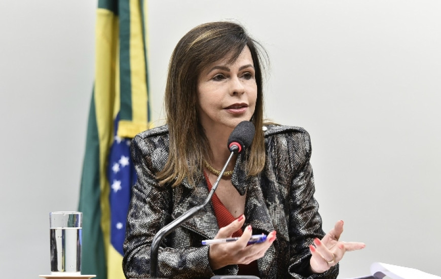 Deputada Dorinha apresenta requerimento para votar com urgência pedido
