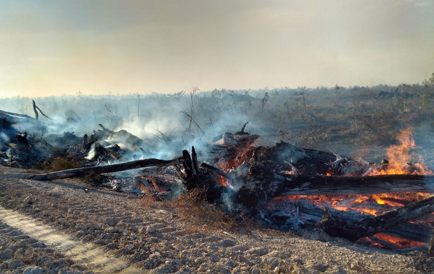 Fazendeiro ateou fogo em área sem autorização de queima controlada