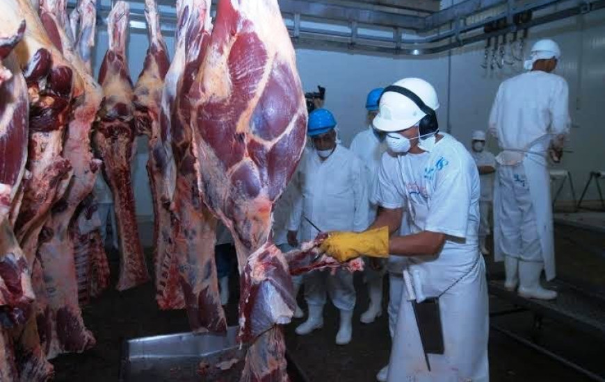 Carne bovina é o 2º item na lista de exportação