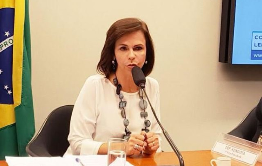 Dorinha propõe seminário na Comissão de Educação