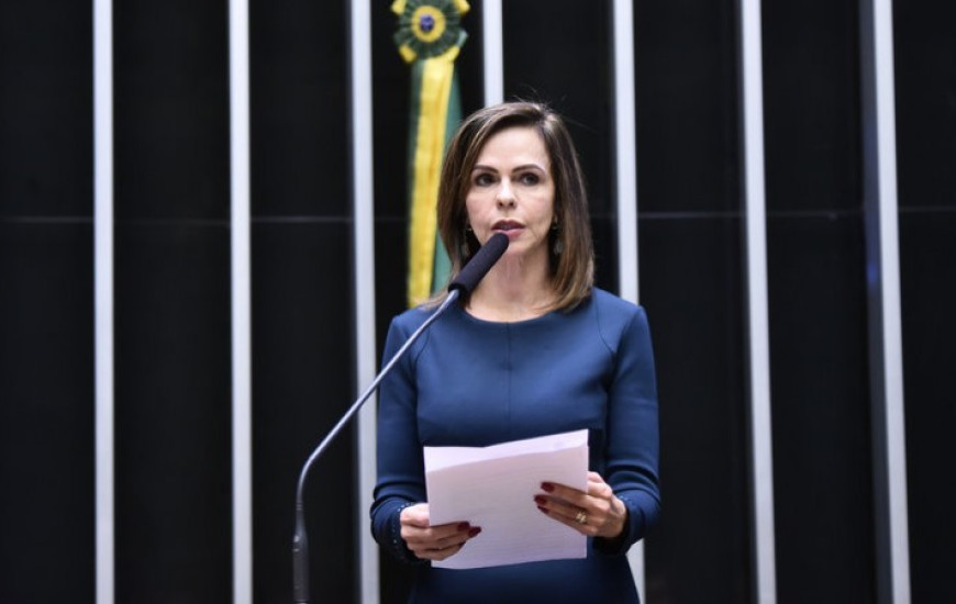 Deputada Federal Professora Dorinha Seabra (DEM-TO).