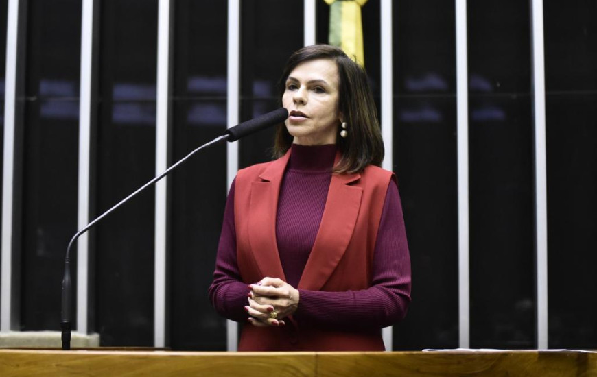 Deputada federal Professora Dorinha (UB/TO)/Foto: Divulgação/Ascom