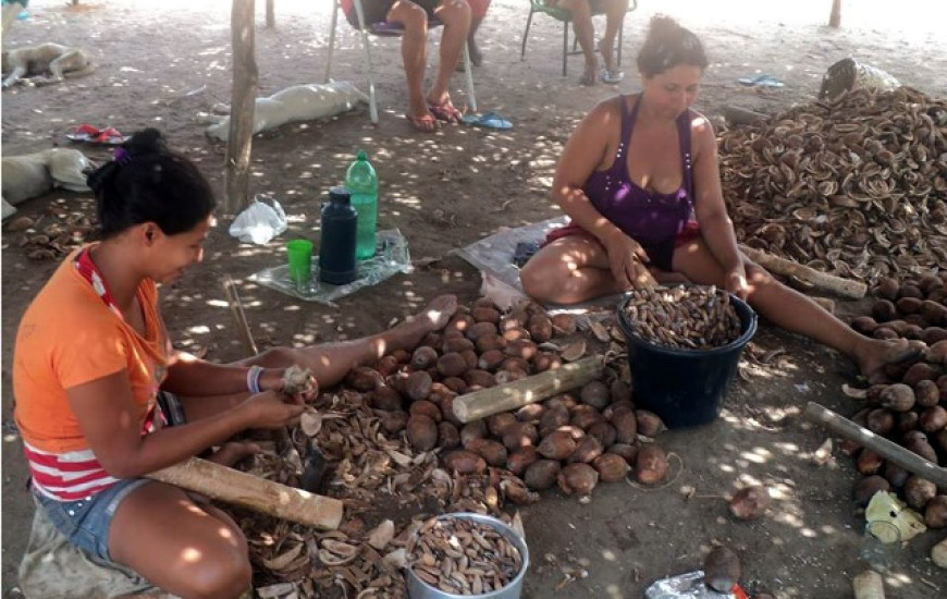 Quebradeiras de coco são contra Projeto de Bonifácio