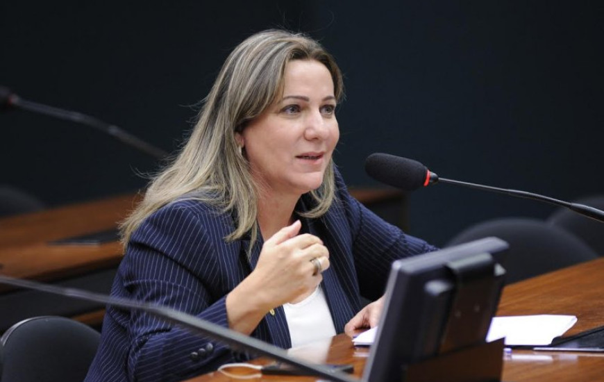Deputada Federal Dulce Miranda (PMDB/TO)