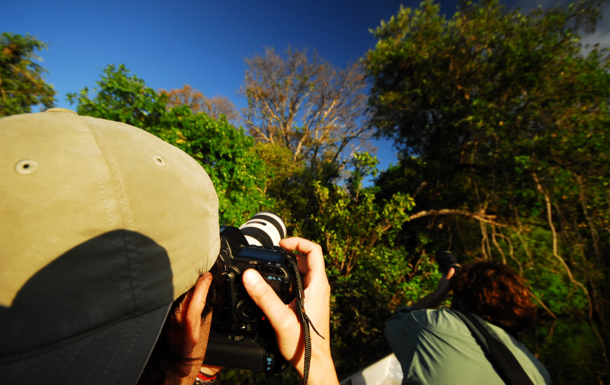 A observação de aves poderá atrair turistas internacionais ao Tocantins