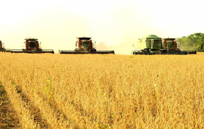 Produção de grãos deve aumentar nos quatro estados