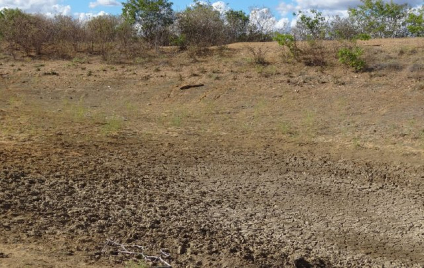 Seca castiga sudoeste do Estado 