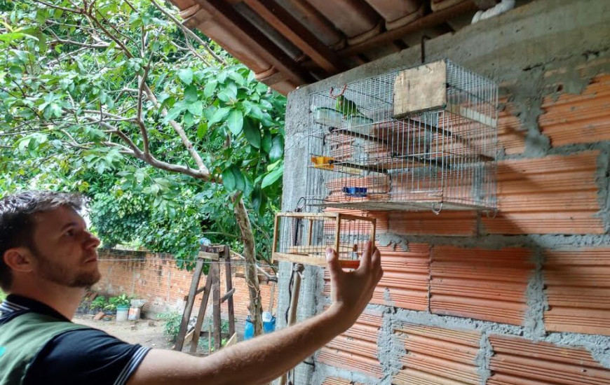 Criadores são autuados pelo Naturatins