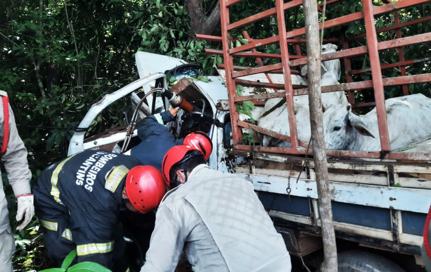 Ao bater em árvore, motorista veio a óbito na região de Paraíso do Tocantins