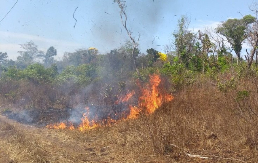 Fogo de queima de entulho alastrou para vegetação