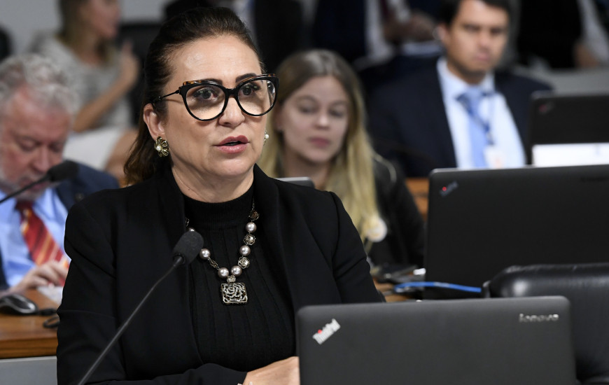 Senadora Kátia Abreu no Senado Federal