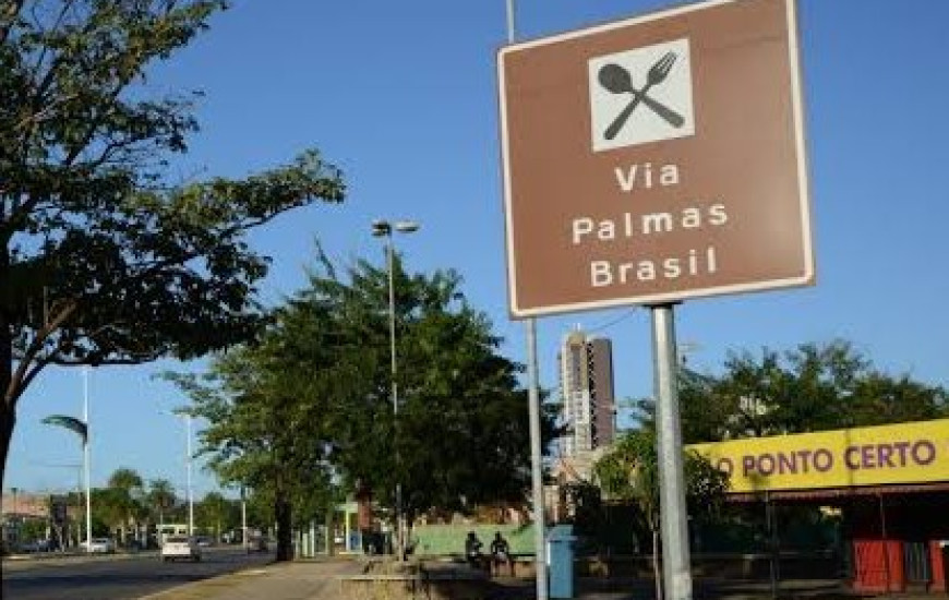 Avenida Palmas Brasil