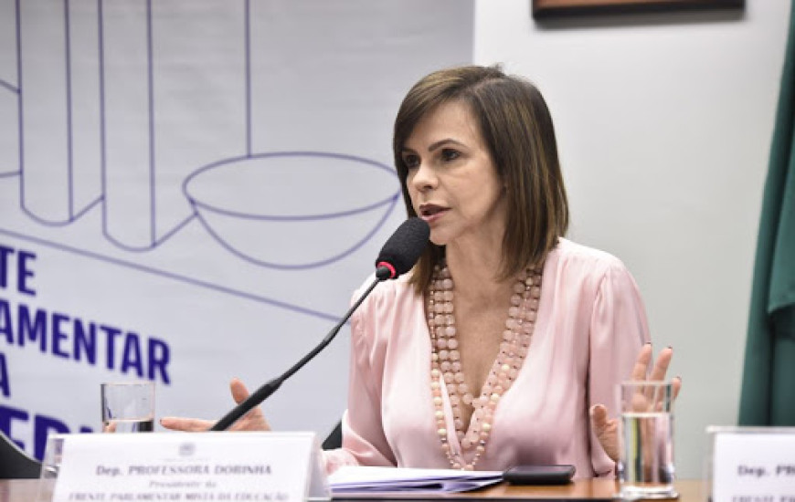 Deputada Federal Professora Dorinha Seabra (DEM-TO)