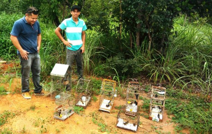 Aves são devolvidas