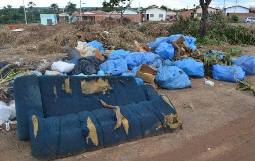 Ao todo foram retiradas 256 tonelhadas de lixo