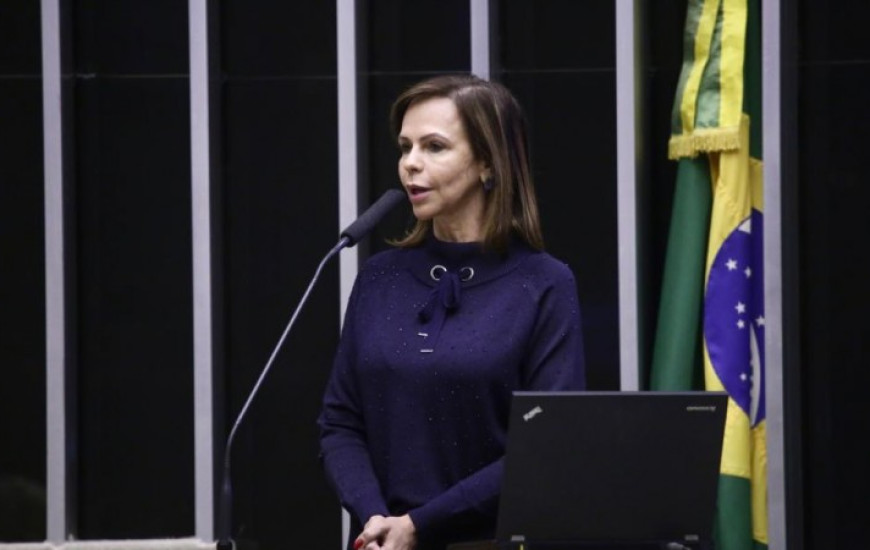 Deputada federal Professora Dorinha (DEM/TO).
