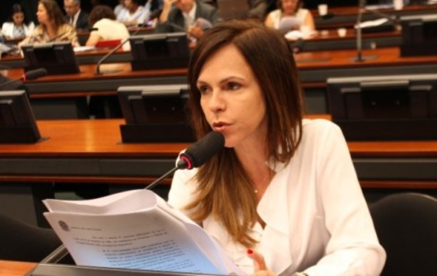 Deputada Dorinha Seabra (DEM)