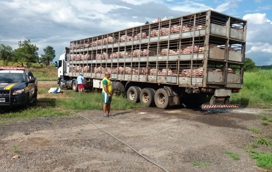 Crime ambiental foi flagrado na BR-153 em Paraíso