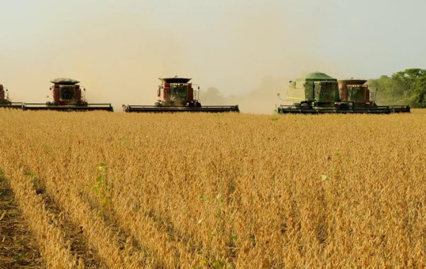 Com soja colhida, produtores preparam novo plantio