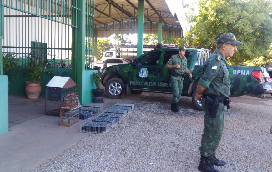 Aves foram soltas em fazenda