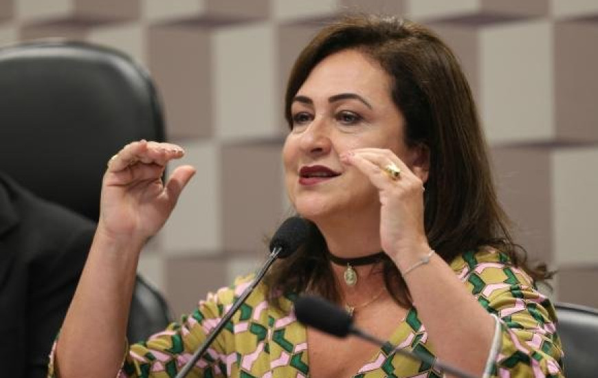 Senadora Kátia Abreu lê relatório da Comissão