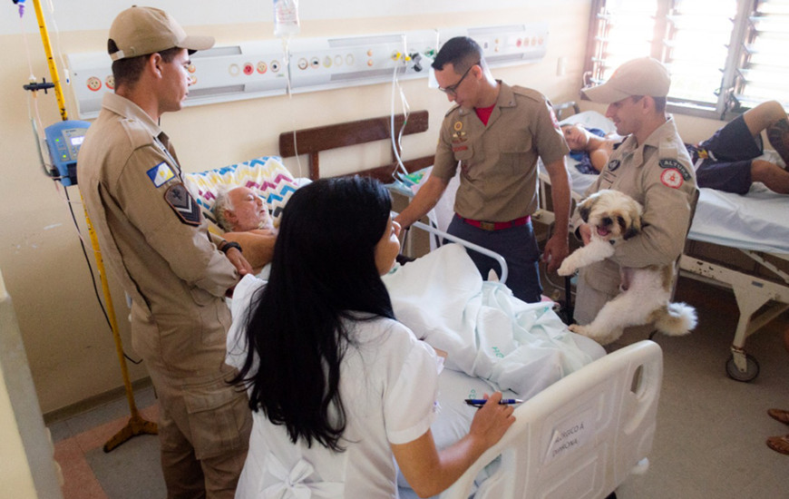 Cães do projeto Cinoterapia são utilizados na recuperação de pacientes 